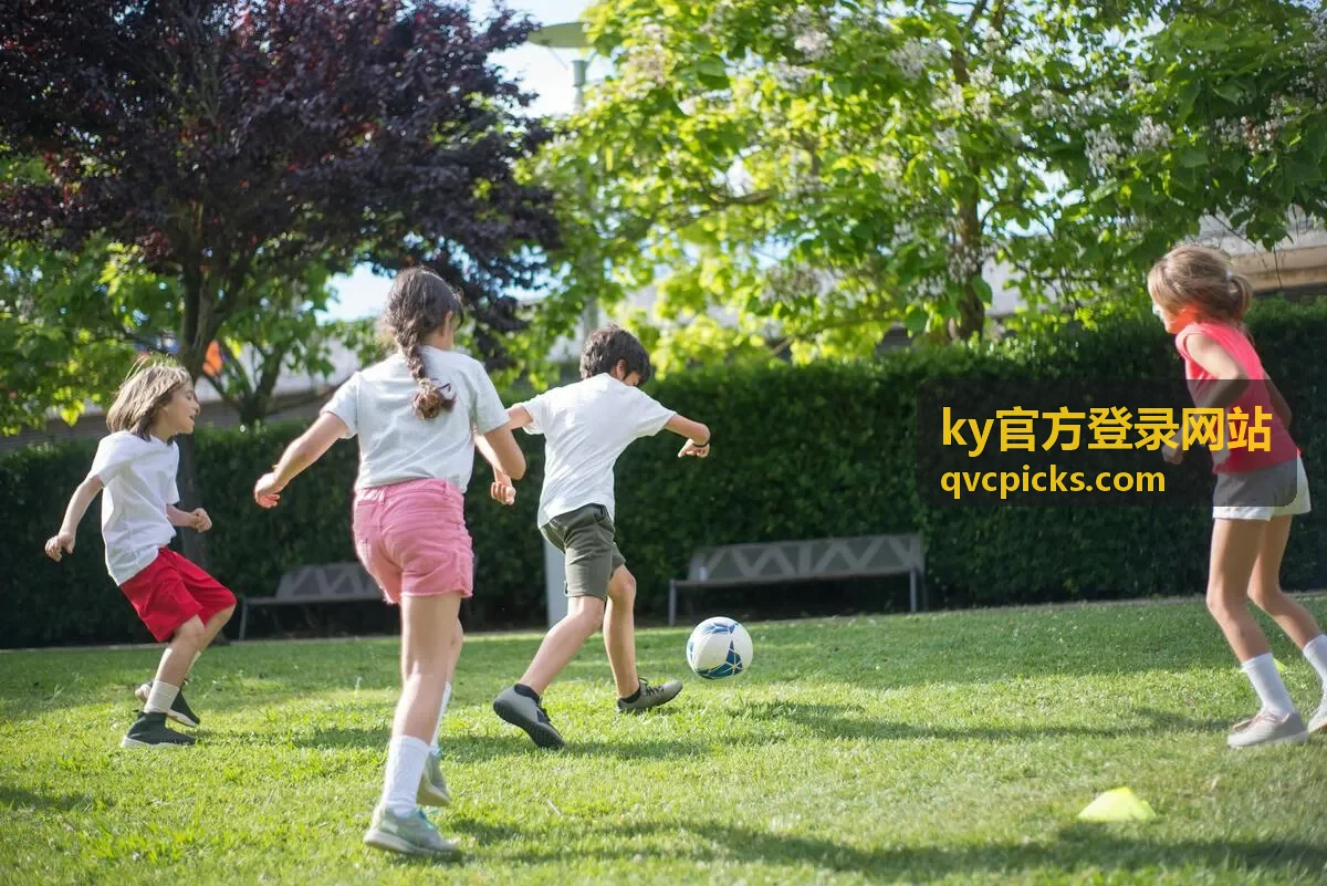 ky官方登录网站登录入口指引